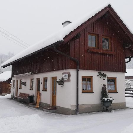 Apartment Natur Herz Haus im Ennstal Luaran gambar
