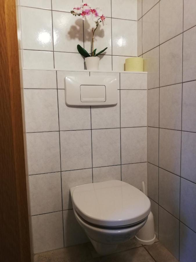 Apartment Natur Herz Haus im Ennstal Luaran gambar