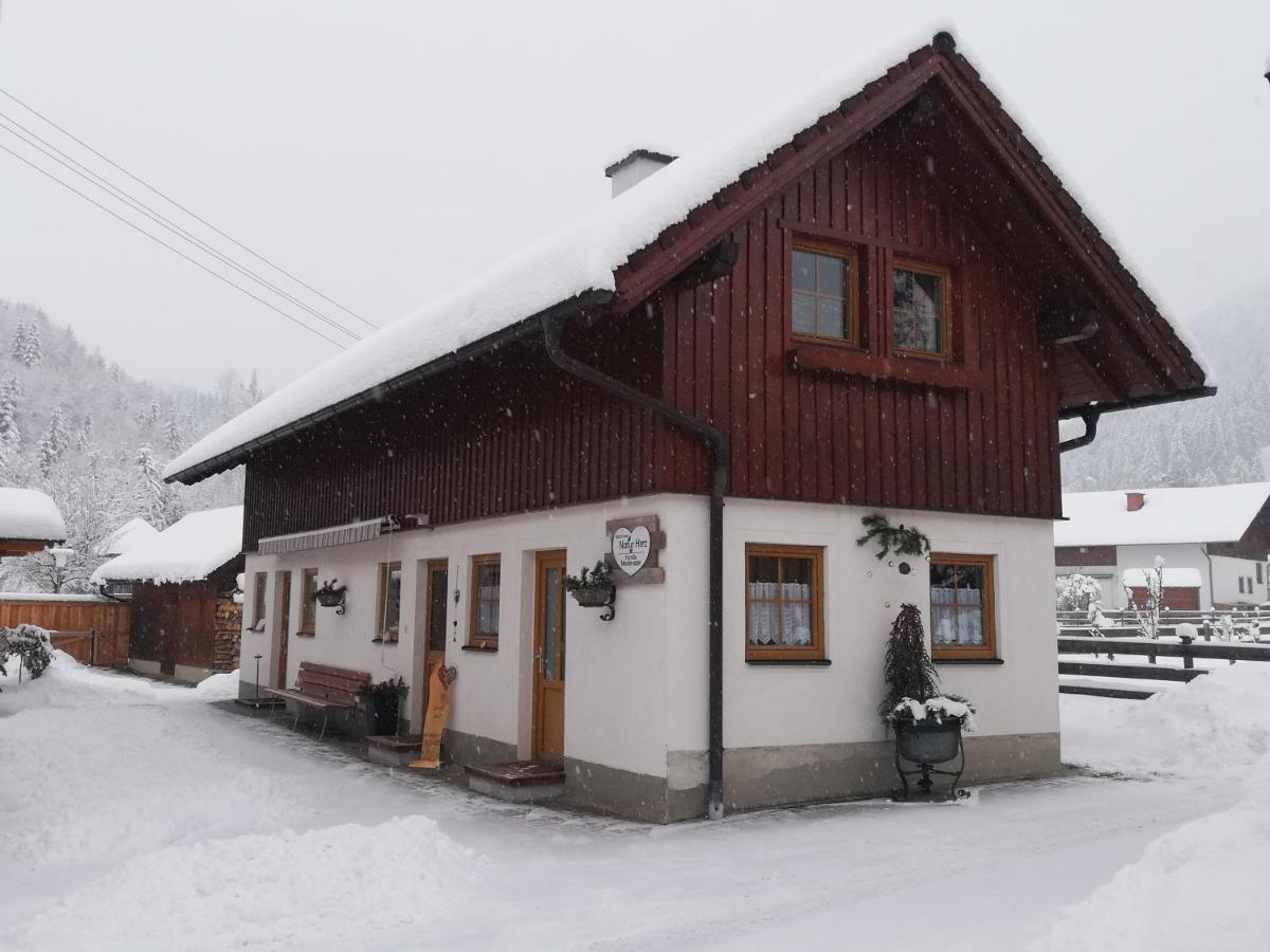 Apartment Natur Herz Haus im Ennstal Luaran gambar